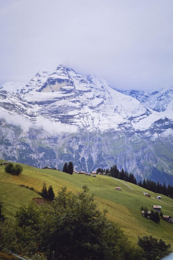 Snow-covered peaks of the Swiss Alps with green meadows, showcasing nature's beauty.